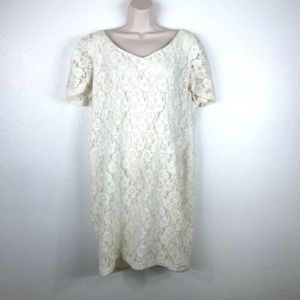 Torrid Womens Ivory Lace Knee Length Dress